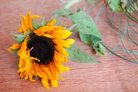 Von Beziehungskillern und Frühlingsgefühlen