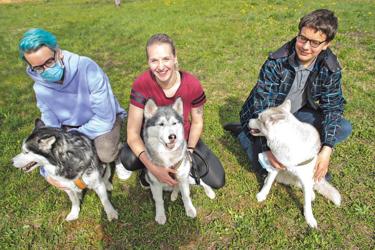 Die drei Huskydamen mit drei ihrer Familienmitglieder. | Peter Leutert