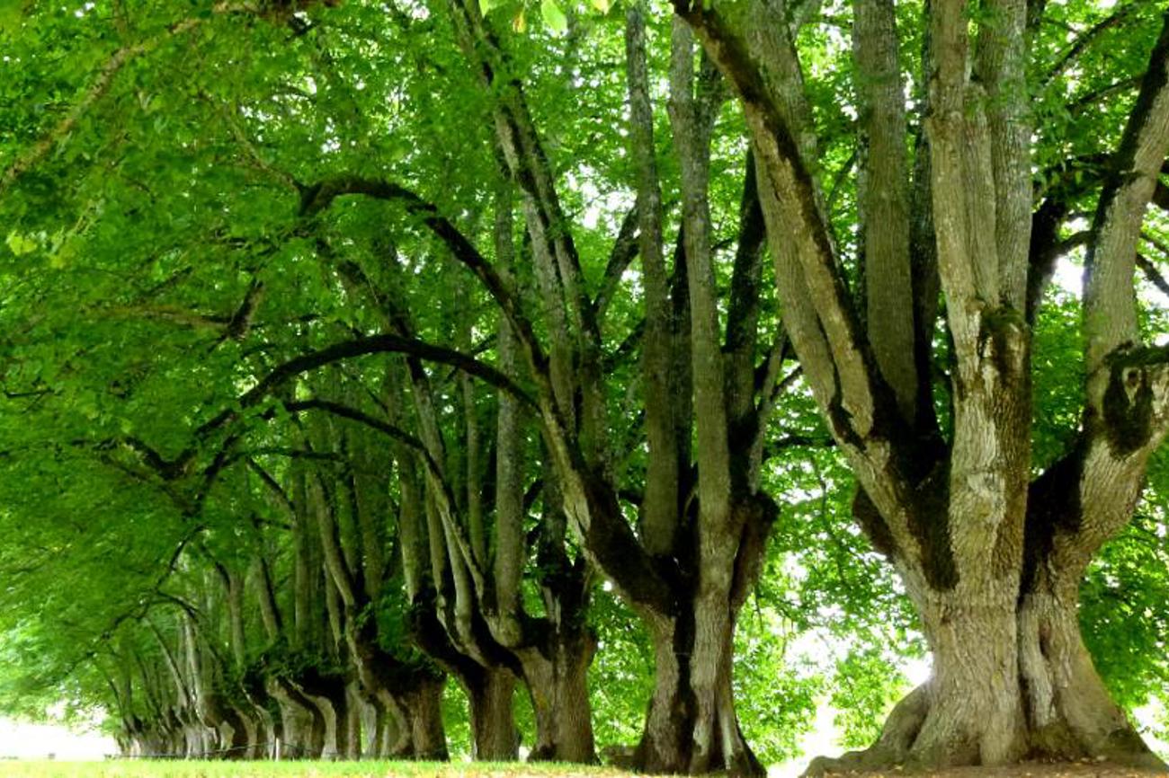 Nach dem Suizid eines Angehörigen ist die Verarbeitung für enge Angehörige schwierig. Gespräche in Selbsthilfegruppen können wertvolle Hilfe leisten. | Jörg Weisshaupt