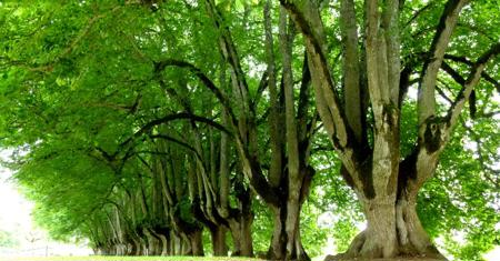 Suizid gemeinsam verarbeiten