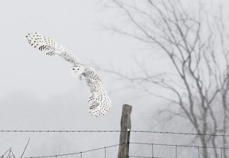 Solidarität bis zum Ende