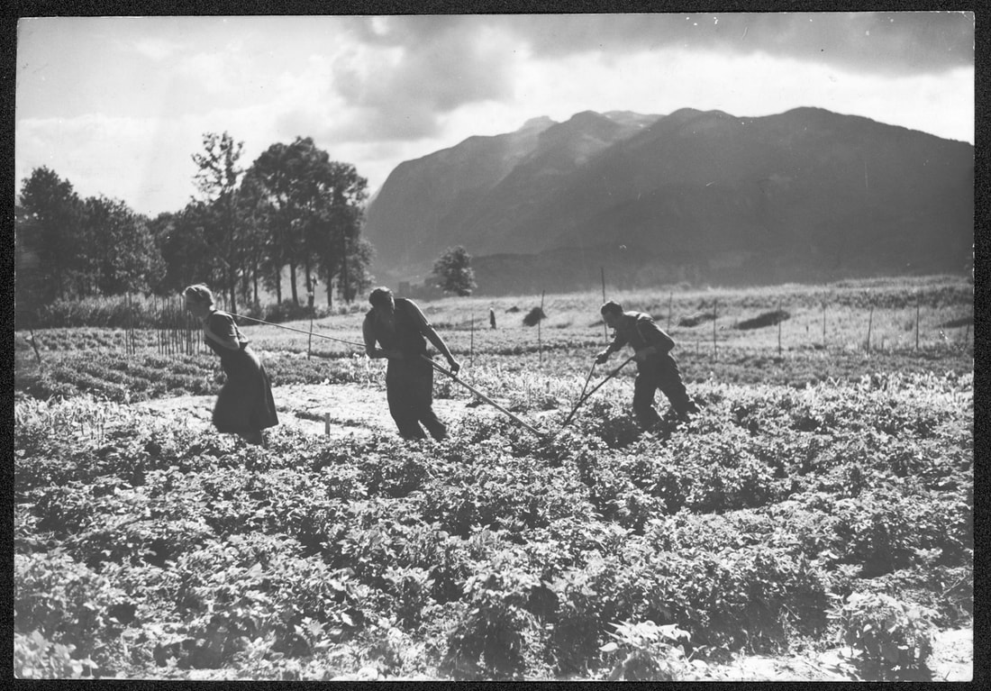 13 2025 10 Anbauschlacht Oberriet