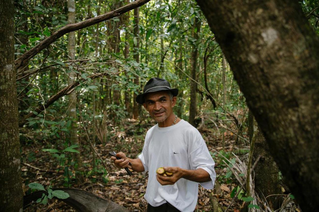 Santino Lopes de Araújo. zeigt die Früchte seiner Arbeit. Mit der Neupflanzung sichert er die Wasserquellen. | Olivier Girard/Heks