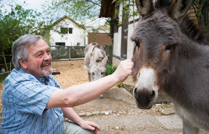 Zwischen Gurus, Gott und grauen Eseln