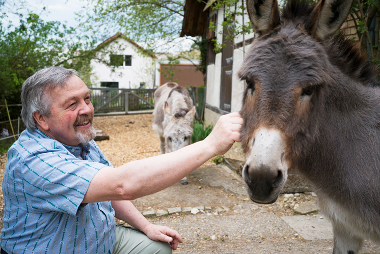 Zwischen Gurus, Gott und grauen Eseln