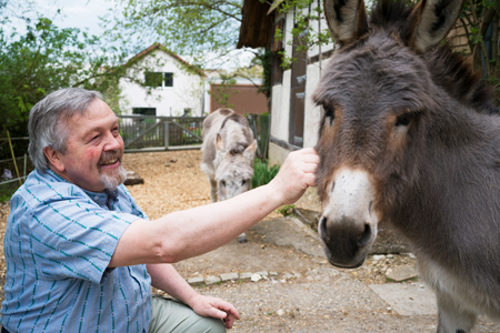 Zwischen Gurus, Gott und grauen Eseln