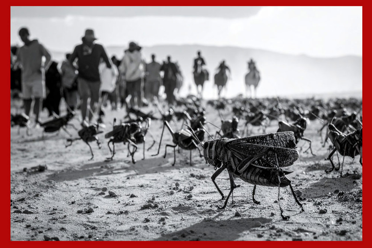 Bild: Erstellt mit Adobe Firefly