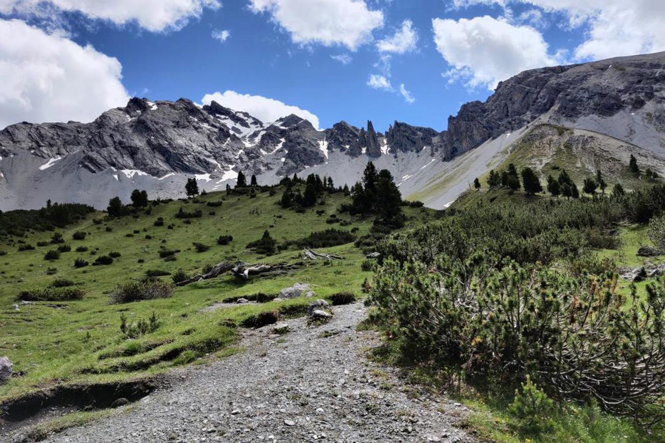 Platz 2: Nationalpark Engadin von Brigitte Hungerbühler, Basel