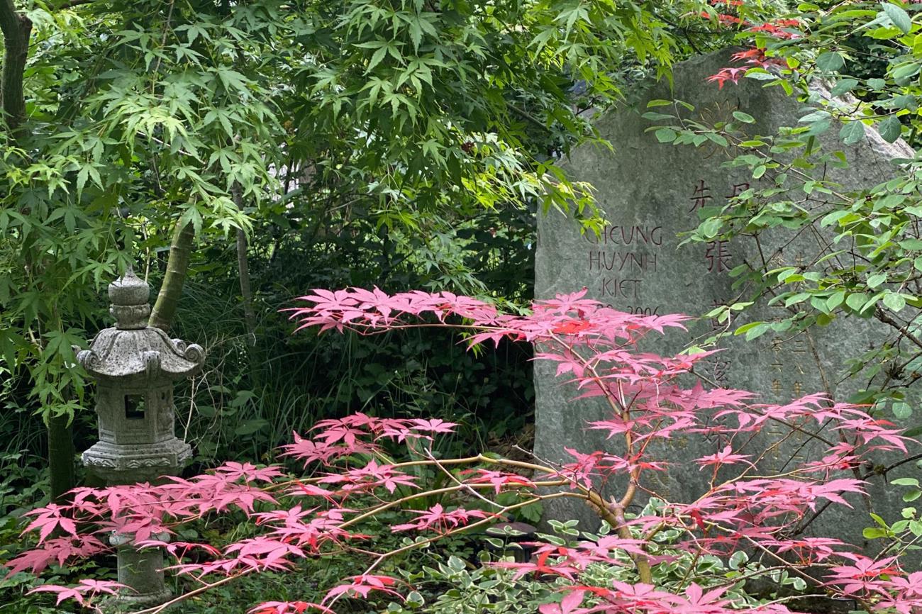 Das Grab wird eins mit der Natur.