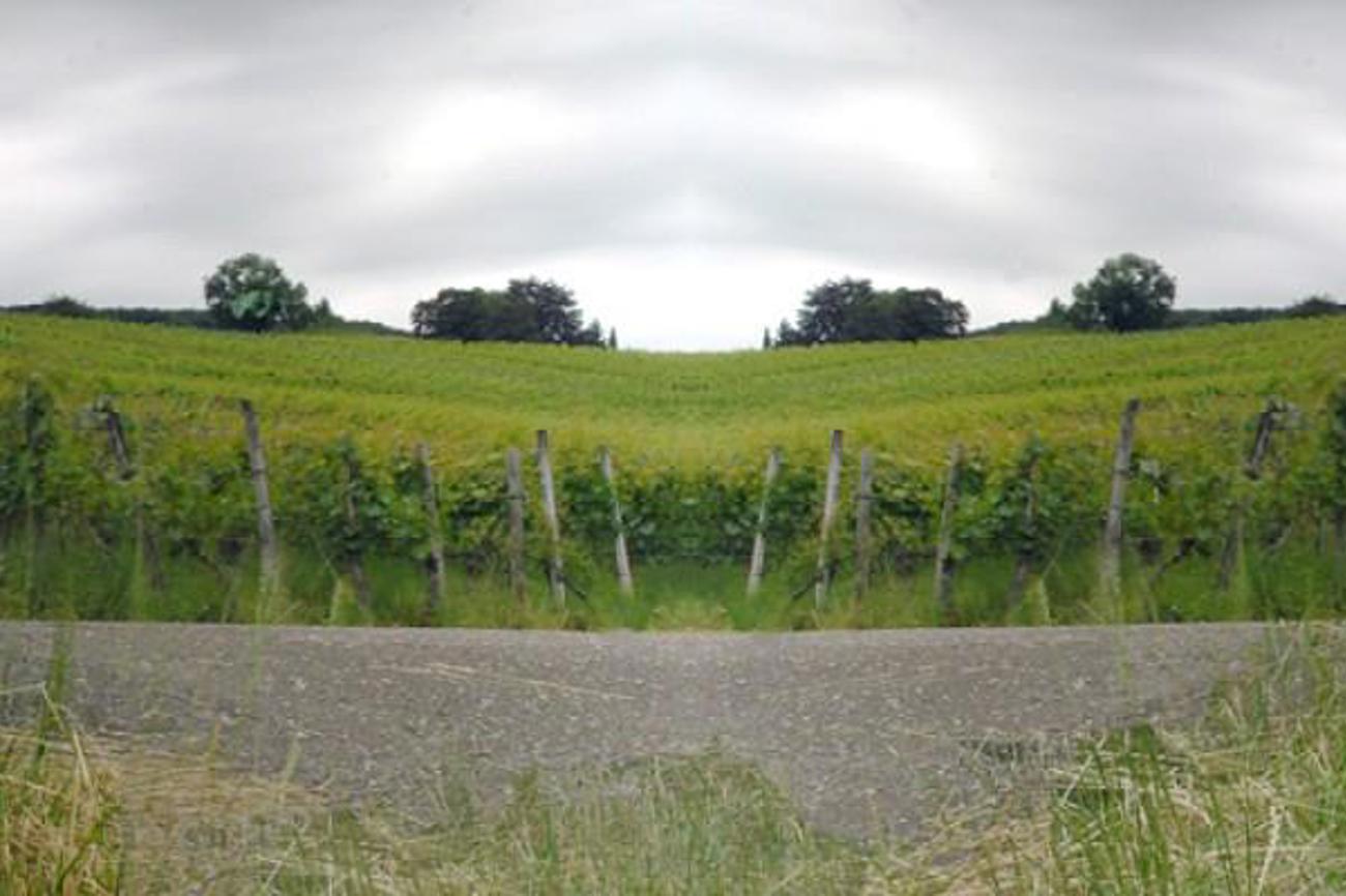 Der Gottesdienst mit interkultureller Dialogpredigt (Marcio Dias und Christel Oefele) findet am Sonntag, 10. November, um 10 Uhr in der Pauluskirche statt.