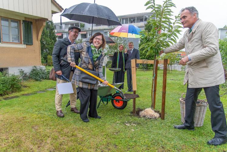 Sechs Bäume zum 50-Jahr-Jubiläum