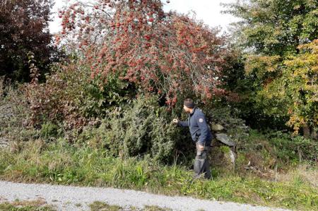 «Die Schöpfung verkörpert ein Stück von Gottes Liebe zum Menschen»