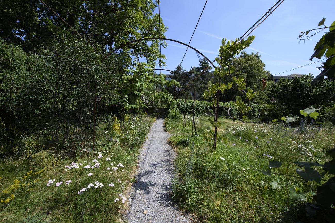 Idylle in der Wildnis: Wege führen durch die grüne Oase.