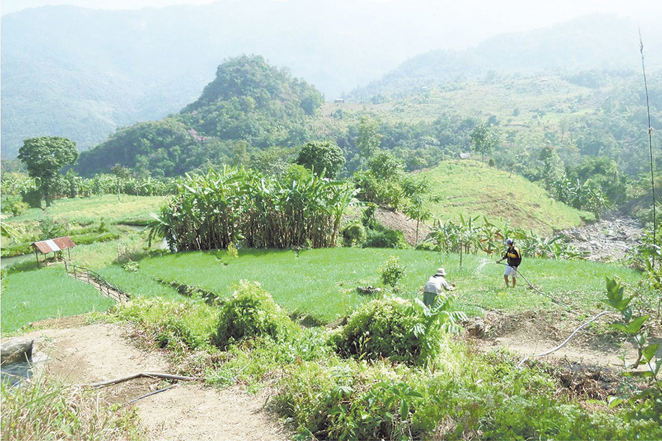 Bauern in Myanmar: Die Landwirtschaft in Burma leidet unter der Trockenheit durch die Klimaerwärmung.