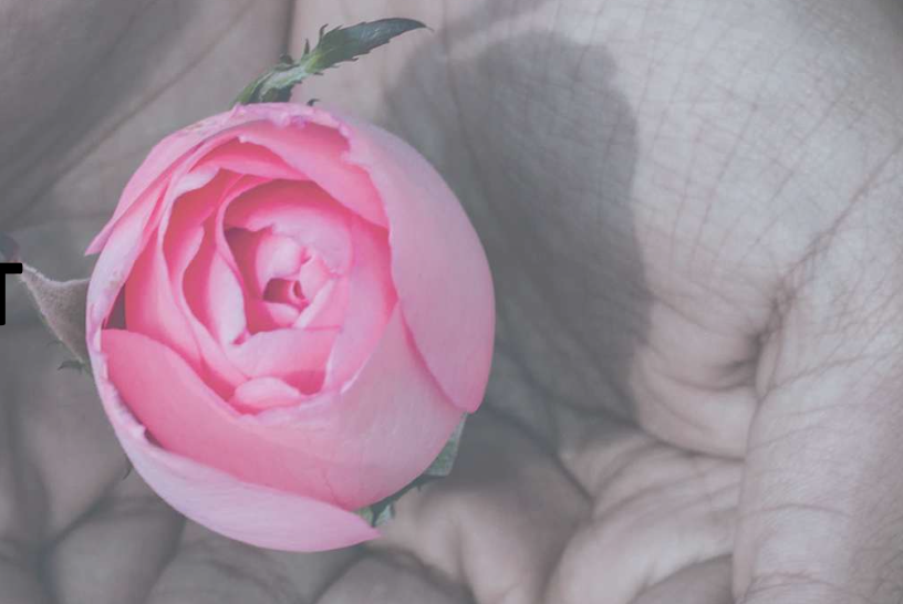 Bildschirmfoto 2026 01 27 Um 14.25.57