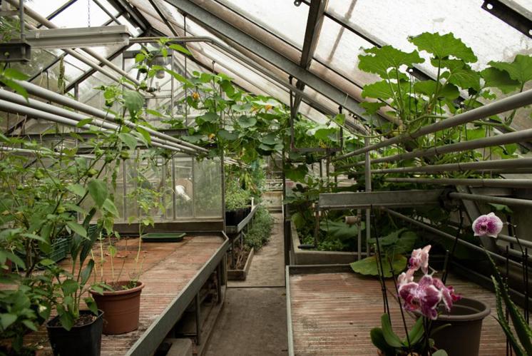 Ein Ort des Lernens, des Austauschs und des Miteinanders