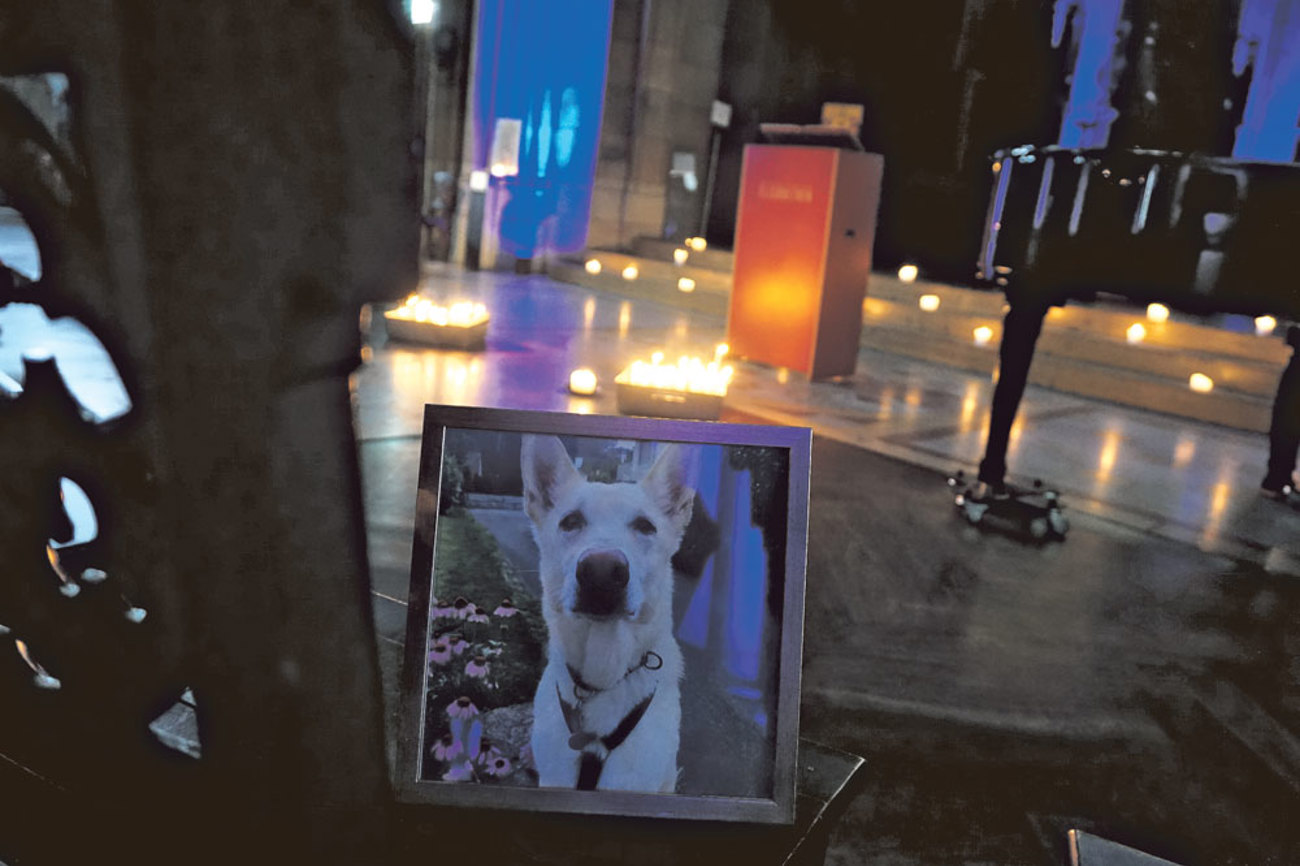 Im Gedenken an den verstorbenen Hund: Porträt an der Tiertrauerfeier in der Elisabthenkirche. | Foto: Noemi Harnickell