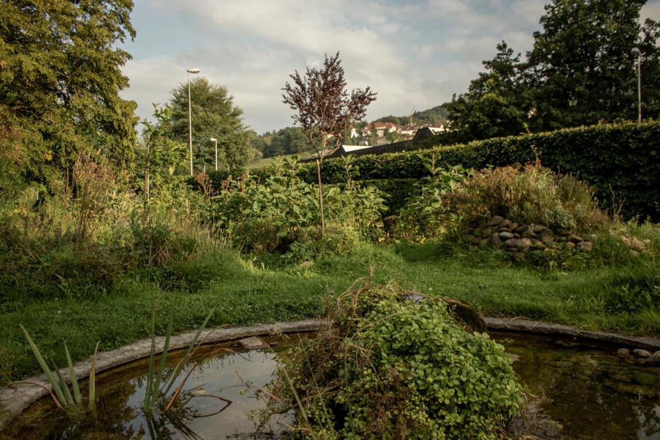 Der Garten an der Morillonstrasse ist geprägt von Mischkulturen.
