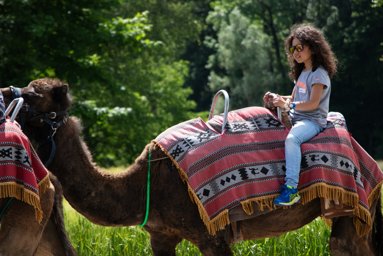 Religionsunterricht auf der Kamelfarm